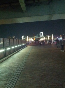 Tokyo Tower and Rainbow Bridge in the background!